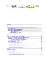 Chuẩn hóa kỹ năng sử dụng công nghệ thông tin theo thông tư 03 công chức chuyên viên modul 3