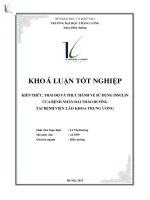 Kiến thức, thái độ và thực hành về sử dụng Insulin của bệnh nhân đái tháo đường tại Bệnh viện Lão khoa Trung ương