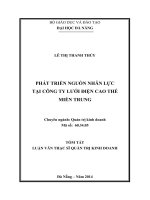 Luận văn Thạc sỹ Quản trị kinh doanh Phát triển nguồn nhân lực tại Công ty lưới điện cao thế miền Trung