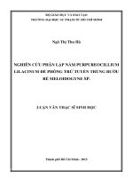 Luận văn Thạc sỹ Sinh học Nghiên cứu phân lập nấm Purpureocillium Lilacinum để phòng trừ tuyến trùng bướu rễ Meloidogyne SP