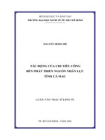 Tác động của chi tiêu công đến phát triển nguồn nhân lực tỉnh cà mau 