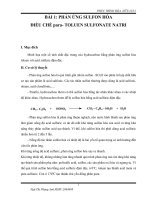 BÁO CÁO TỔNG HỢP HÓA HỮU CƠ