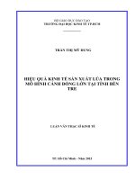Hiệu quả kinh tế sản xuất lúa trong mô hình cánh đồng lớn tại tỉnh bến tre  luận văn thạc sĩ 2016 