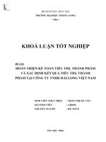 Hoàn thiện kế toán tiêu thụ thành phẩm và xác định kết quả tiêu thụ thành phẩm tại Công ty TNHH Hải Long Việt Nam