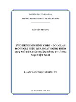 Ứng dụng mô hình cobb  douglas đánh giá hiệu quả hoạt động theo quy mô của các ngân hàng thương mại việt nam 