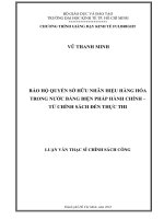 Bảo hộ quyền sở hữu nhãn hiệu hàng hóa trong nước bằng biện pháp hành chính   từ chính sách đến thực thi 