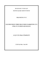 Giải pháp hoàn thiện hoạt động marketing của công ty cổ phần sơn spanyc 