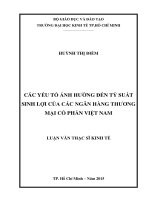 Các yếu tố ảnh hưởng đến tỷ suất sinh lợi của các ngân hàng thương mại cổ phần việt nam 