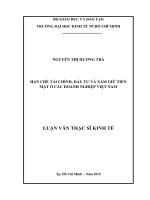 Hạn chế tài chính, đầu tư và nắm giữ tiền mặt ở các doanh nghiệp việt nam 