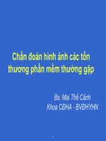 CHẨN ĐOÁN HÌNH ẢNH CÁC TỔN THƯƠNG PHẦN MỀM THƯỜNG GẶP, KHOA CHẨN ĐOÁN HÌNH ẢNH BỆNH VIỆN Y HÀ NỘI