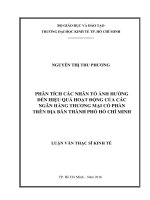 Phân tích các nhân tố ảnh hưởng đến hiệu quả hoạt động của ngân hàng thương mại cổ phần trên địa bàn thành phố hồ chí minh 