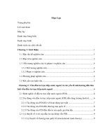 Tác động của tham nhũng đến thu hút vốn đầu nước ngoài tại các quốc gia asean, trung quốc và ấn độ 