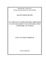 Các nhân tố tác động đến phát triển dịch vụ ngân hàng điện tử tại ngân hàng thương mại cổ phần á châu khu vực thành phố hồ chí minh 