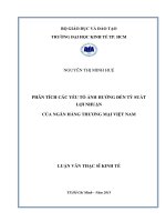 Phân tích các yếu tố ảnh hưởng đến tỷ suất lợi nhuận của các ngân hàng thương mại việt nam 