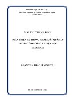 Hoàn thiện hệ thống kiểm soát quản lý trong tổng công ty điện lực miền nam 