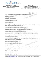 Đề thi thử môn lịch sử năm 2017 trường chuyên Nguyễn Trãi (có lời giải)  