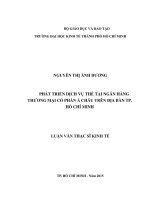 Phát triển dịch vụ thẻ tại ngân hàng thương mại cổ phần á châu trên địa bàn thành phố hồ chí minh 