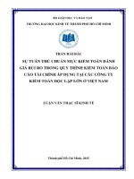Sự tuân thủ chuẩn mực kiểm toán đánh giá rủi ro trong quy trình kiểm toán báo cáo tài chính áp dụng tại các công ty kiểm toán độc lập lớn ở việt nam  luận văn thạc sĩ 2016 
