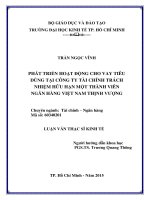 Phát triển hoạt động cho vay tiêu dùng tại công ty trách nhiệm hữu hạn một thành viên ngân hàng việt nam thịnh vượng 