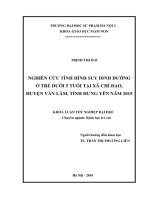 Nghiên cứu tình hình suy dinh dưỡng ở trẻ dưới 5 tuổi tại xã chỉ đạo – huyện văn lâm – tỉnh hưng yên  