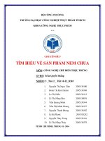 TIM HIEU VE SAN PHAM NEM CHUA