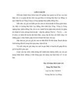 Vận dụng thẻ điểm cân bằng để đánh giá thành quả hoạt động tại tổng công ty công nghiệp đồng nai