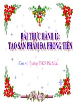 tiet 63 66 bai TH 12 tao san pham da phuong tien