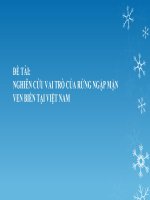 NGHIÊN cứu VAI TRÒ của RỪNG NGẬP mặn VEN BIỂN tại VIỆT NAM