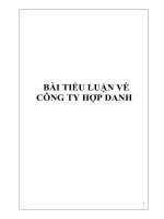 TIỂU LUẬN VỀ CÔNG TY HỢP DANH