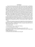 báo cáo tình hình kinh doanh công ty cổ phần Karofi