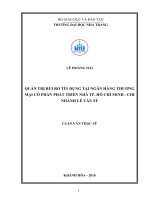 Quản trị rủi ro tín dụng tại ngân hàng thương mại cổ phần phát triển nhà tp  hồ chí minh   chi nhánh lê văn sỹ 
