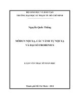 Môđun nội xạ, các vành tự nội xạ và đại số frobenius