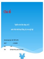 Nghiên cứu khả năng xử lý nước thải bằng cây ngổ dại