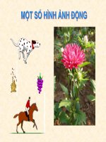 tiet 59   60 bai 14 lam quen PM tao anh dong