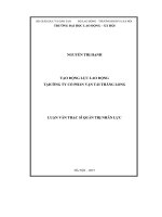 Tạo động lực lao động tại công ty cổ phần vận tải Thăng Long (LV thạc sĩ)