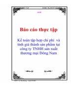 Báo cáo thực tập kế toán tập hợp chi phí và tính giá thành sản phẩm tại công ty TNHH sản xuất thương mại Đông Nam
