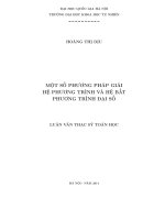 Một số phương pháp giải hệ phương trình và hệ bất phương trình đại số