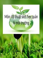 Nghiên cứu khả năng xử lí nước thải sinh hoạt của cỏ ventiver bằng mô hình đất ngập nước