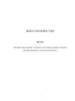 Tìm hiểu hoạt động văn hóa văn nghệ tại Nhà văn hóa trường Đại học Văn Hóa Hà Nội