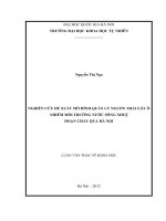 Nghiên cứu đề xuất mô hình quản lý nguồn thải gây ô nhiễm môi trường nước sông Nhuệ đoạn chảy qua Hà Nội