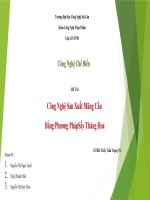 ĐỀ TÀI Công Nghệ Sản Xuất Mãng Cầu  Bằng Phương Pháp Sấy Thăng Hoa