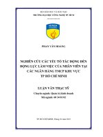 Nghiên cứu các yếu tố tác động đến động lực làm việc của nhân viên tại các ngân hàng TMCP khu vực thành phố Hồ Chí Minh