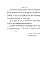 đồ án sấy thùng quay diammonium phosphat