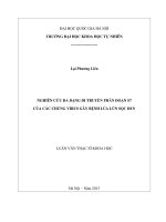 Nghiên cứu đa dạng di truyền phân đoạn S7 của các chủng virus gây bệnh lúa lùn sọc đen