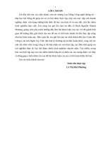 “Giải pháp phát triển hoạt động bán hàng trực tuyến tại công ty TNHH một thành viên Du lịch Ngón Tay Việt