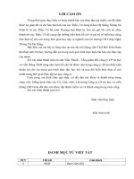 Giải pháp phát triển thương hiệu điện tử của công ty CP Tin Học và Viễn Thông TH