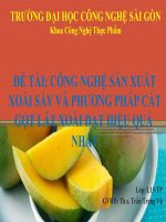 Công nghệ sản xuất xoài sấy