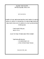 NGHIÊN CỨU ĐẶC ĐIỂM SINH TRƯỞNG, PHÁT TRIỂN CỦA MỘT SỐ DÒNG LÚA THUẦN VÀ ẢNH HƯỞNG CỦA MỘT SỐ BIỆN PHÁP KỸ THUẬT ĐẾN NĂNG SUẤT CỦA DÒNG LÚA CL02 TẠI SƠN DƯƠNG, TUYÊN QUANG