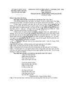 Đề thi giữa học kì 2 lớp 12 môn Văn  THPT Chuyên Nguyễn Quang Diêu 2016 (có hướng dẫn trả lời)