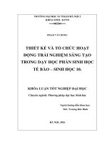 Thiết kế và tổ chức hoạt động trải nghiệm sáng tạo trong dạy học phần Sinh học tế bào - Sinh học 10